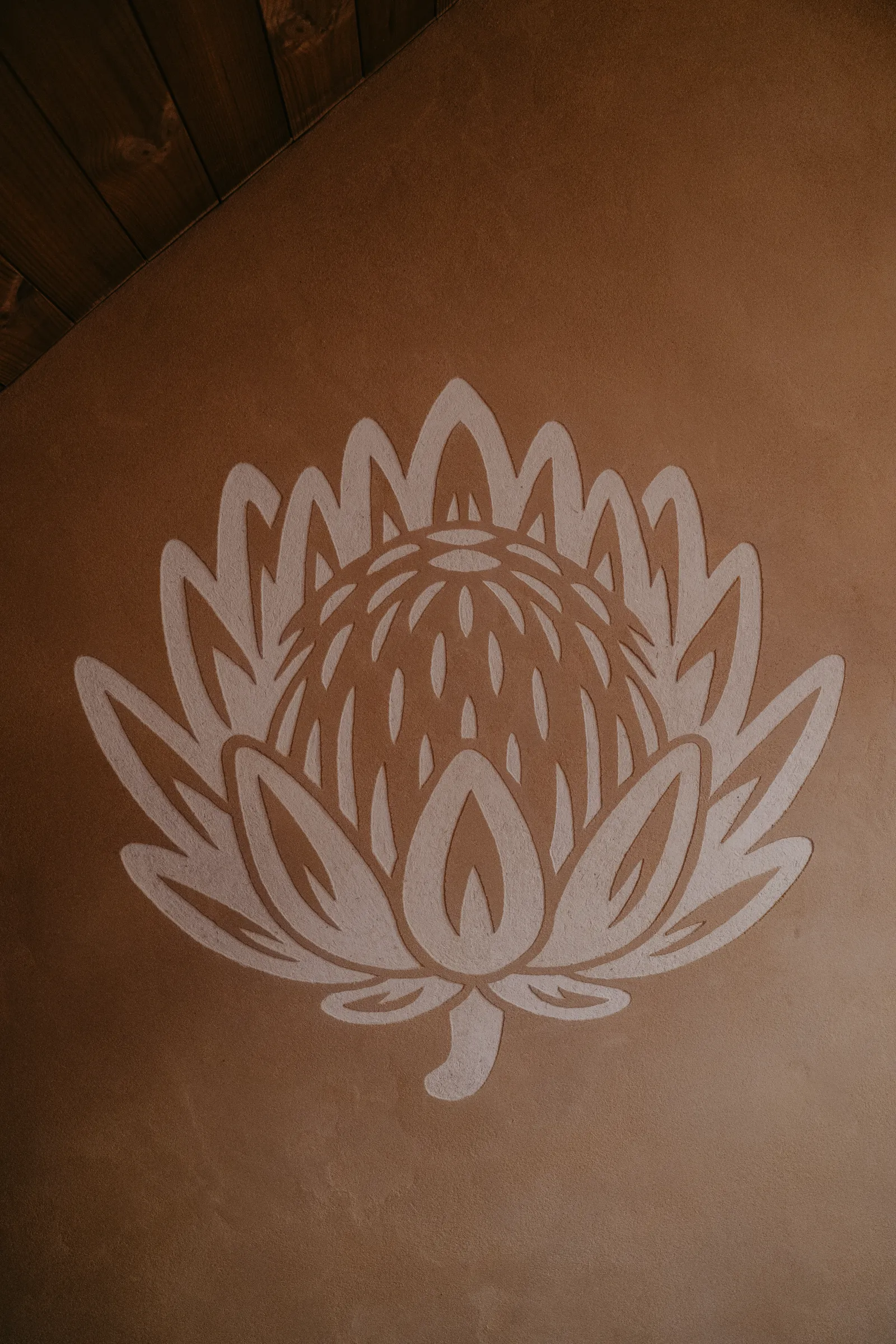 Protea — dvoubarevné sgrafito květiny
